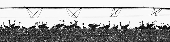 Outstanding In Their Field 4:1
