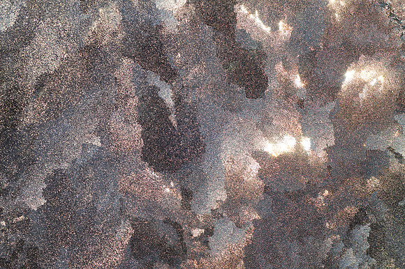 Sunrise Through Frost 5158a