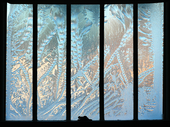 Organic Ice