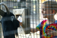 IMG_0321a