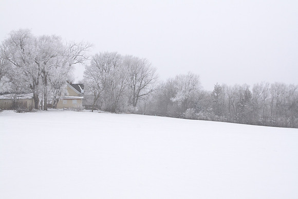 Winter Wonderland