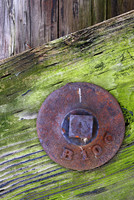 B100