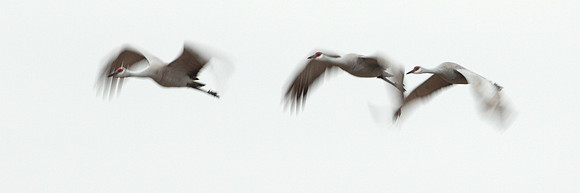 7D2_7964a