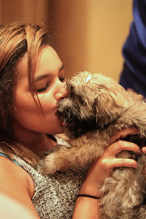C7D_7267a