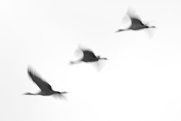 7D2_7408a