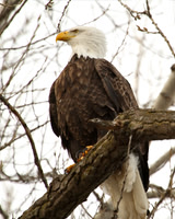 C7D_2103a