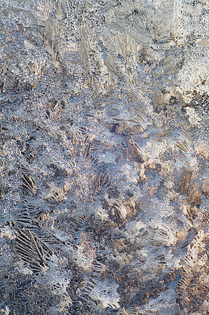 Sunrise Through Frost 2