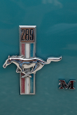 Mustang