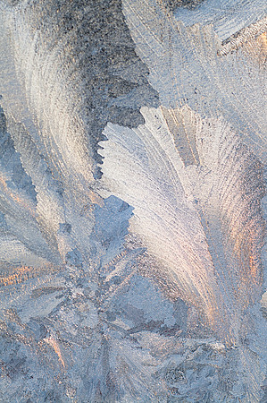 Sunrise Through Frost 3