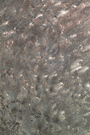 Sunrise Through Frost 5172a