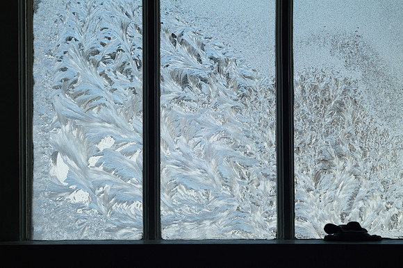 Frosty Folliage (wide)