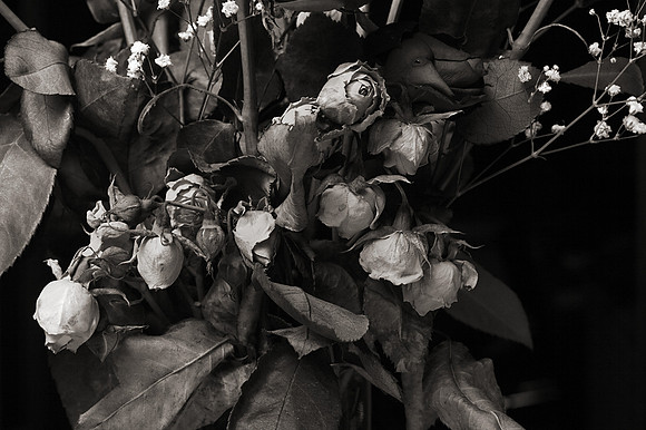 Happy Mother's Day? (B&W)